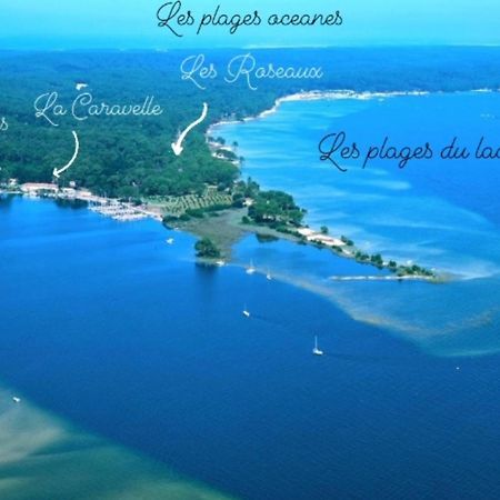 Studio Mansarde Climatise Les Roseaux Bord De Lac Biscarrosse Kültér fotó