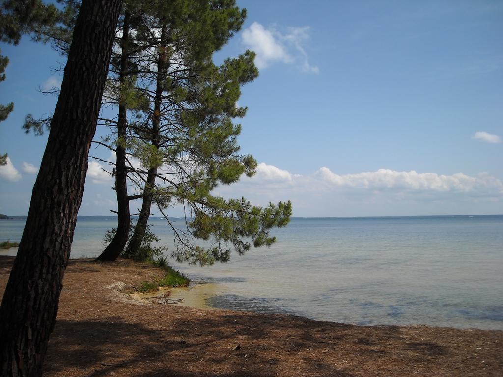 Studio Mansarde Climatise Les Roseaux Bord De Lac Biscarrosse Kültér fotó