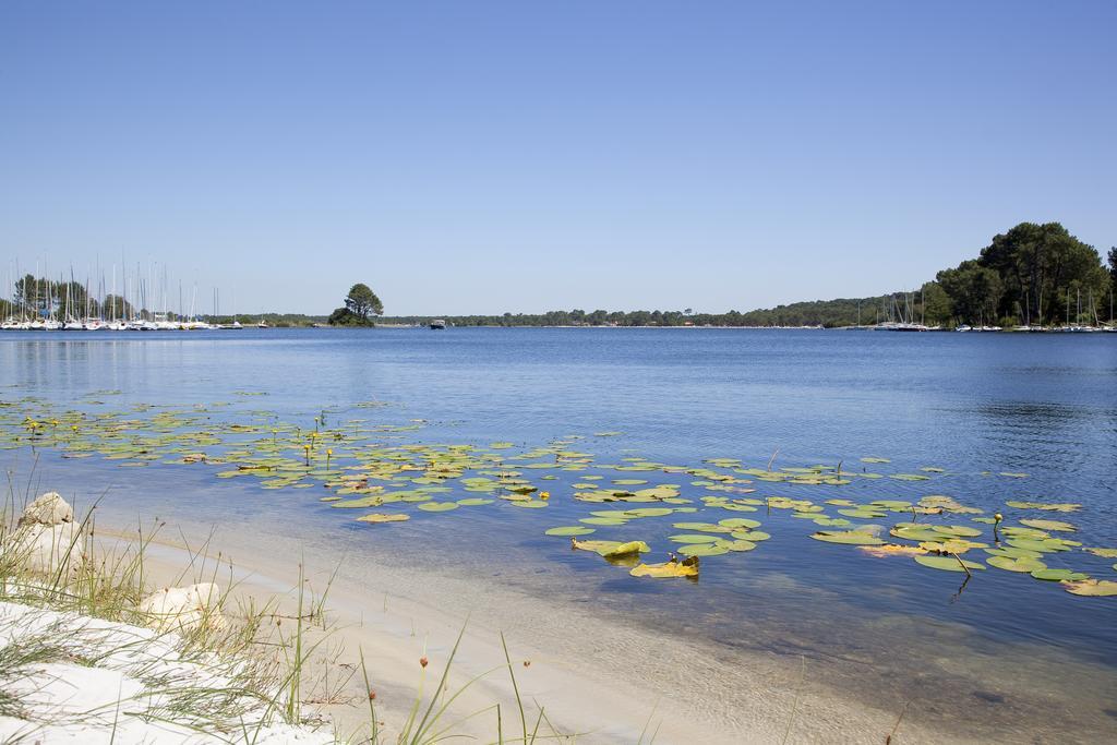 Studio Mansarde Climatise Les Roseaux Bord De Lac Biscarrosse Kültér fotó