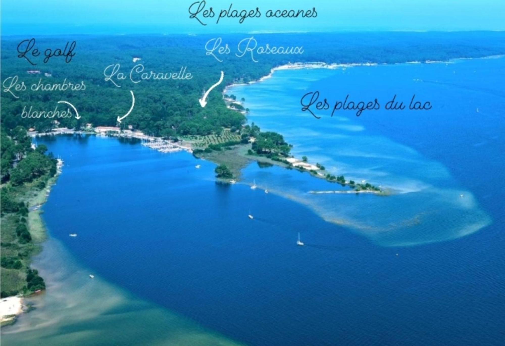 Studio Mansarde Climatise Les Roseaux Bord De Lac Biscarrosse Kültér fotó