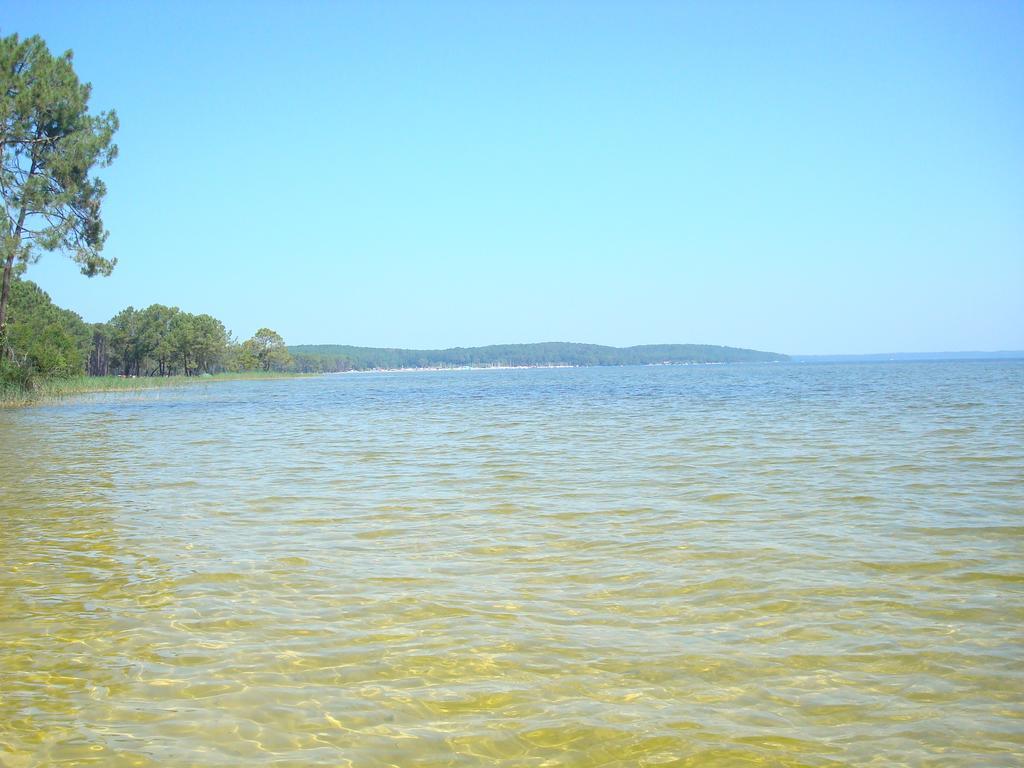 Studio Mansarde Climatise Les Roseaux Bord De Lac Biscarrosse Kültér fotó
