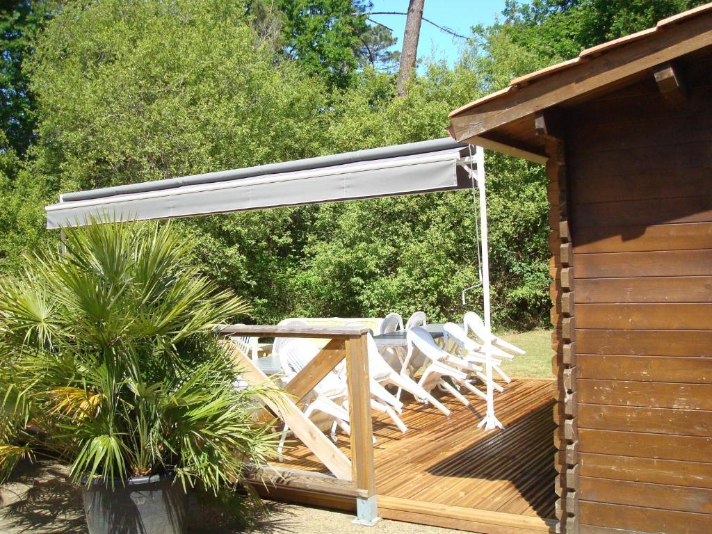 Studio Mansarde Climatise Les Roseaux Bord De Lac Biscarrosse Kültér fotó