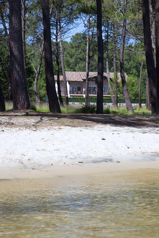 Studio Mansarde Climatise Les Roseaux Bord De Lac Biscarrosse Kültér fotó