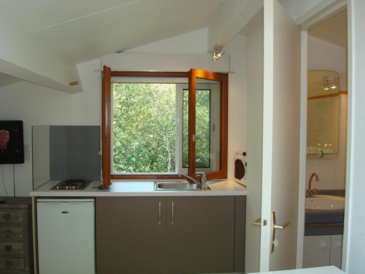 Studio Mansarde Climatise Les Roseaux Bord De Lac Biscarrosse Kültér fotó